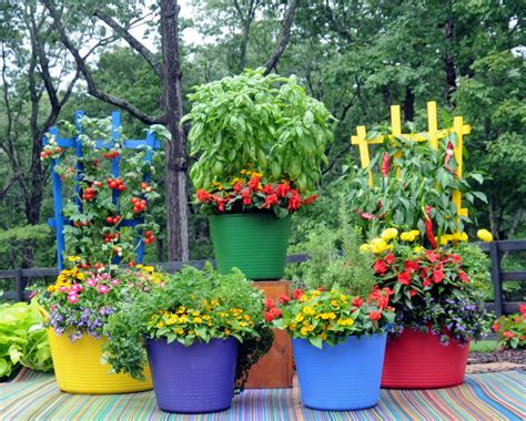 Garden type is the art and method of constructing and creating plans for|prepare for%] layout and planting of gardens and landscapes. Pretty Kitty Teacup, colorful tubs and trellises, and more ...