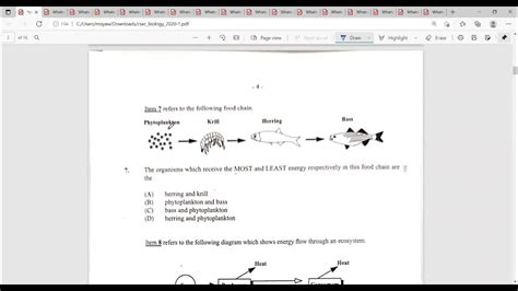 Cxccsec Biology 2020 Paper 1 Youtube