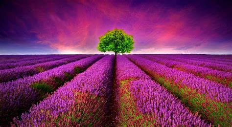 Free Download Beautiful Nature Wallpapers Collection Most Beautiful