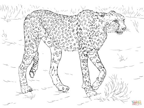Printable Realistic Animal Coloring Pages at GetColorings.com | Free
