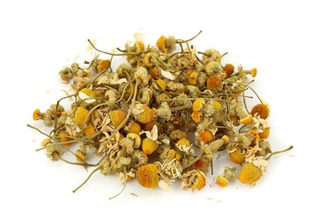 Dried Chamomile Tea Stock Photo Image Of Medicine Natural 11782754