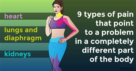 What are the different parts of the human body and what are their functions? 9 types of pain that point to a problem in a completely ...