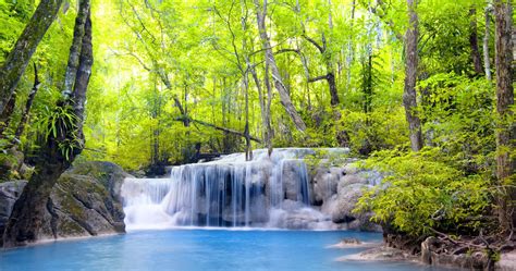 Waterfall In Forest Wallpaper 68 4k Ultra Hd Wallpaper