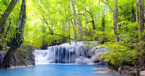 Download the perfect 4k forest pictures. waterfall in forest wallpaper 68 4k ultra hd wallpaper ...