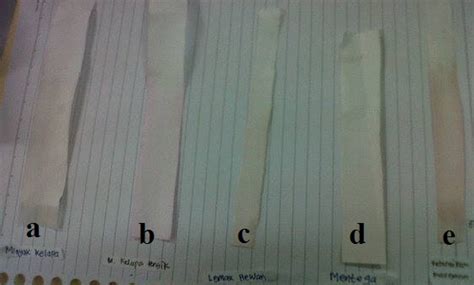 Campurkan minyak jarak dengan minyak zaitun murni, beberapa tetes minyak berduri seperti lavender atau lemon dan aduk hingga homogen. Laporan Biokimia