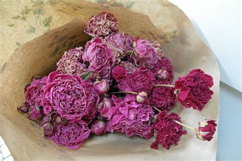 They are related to ranunculus so the flowers are similar. Just*Grand: Peonies in November