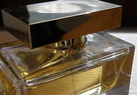 25 Best Smelling Colognes And Perfumes For Men
