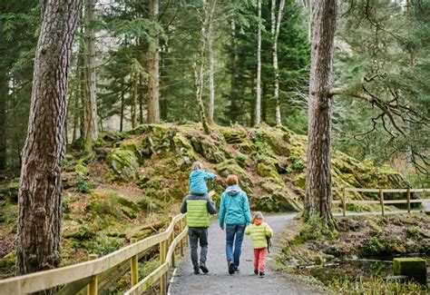 Faskally Forest Where To Go With Kids Perthshire