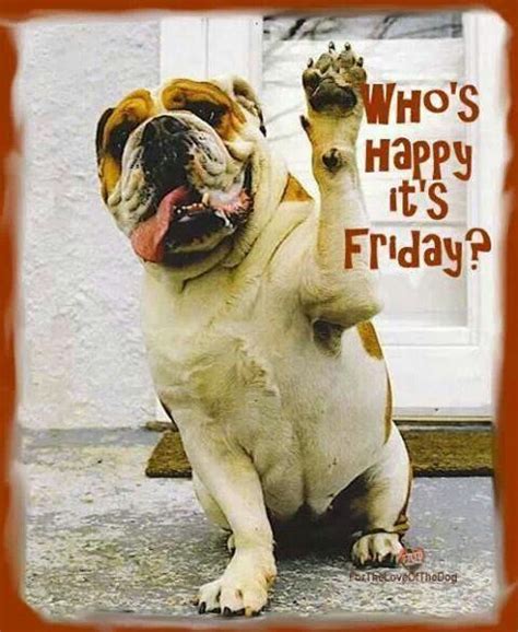 We did not find results for: MEEEEEEE!!!!!!!!!!!! | Funny friday memes, Friday quotes ...