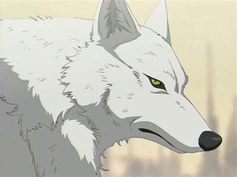White Wolf Anime Encrypted Tbn0 Gstatic Com Images Q Tbn