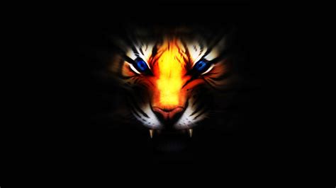 3d Animated Tiger Wallpapers 3d Wallpapers