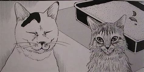 Ito Junjis Cat Diary By Junji Ito Goodreads