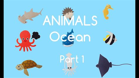 Learn Sea Animals And Water Animal Names And Sounds With Cartoon And Real