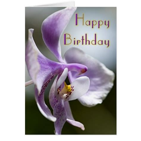 Orchid Birthday Card Zazzle