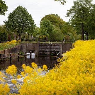 Bijzonder brasserie van eigen deeg hoogeveen. Hoogeveen - Gemeente Hoogeveen