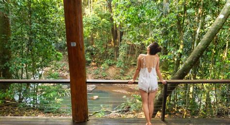 In biology, the canopy is the aboveground portion of a plant croping or crop, formed by the collection of individual plant crowns. The Canopy Rainforest Treehouses & Wildlife Sanctuary 247 ...