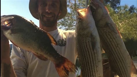 Castaic lake fishing report 07/04/2021. 04-14-2018 Castaic Lake Striper Fishing - YouTube