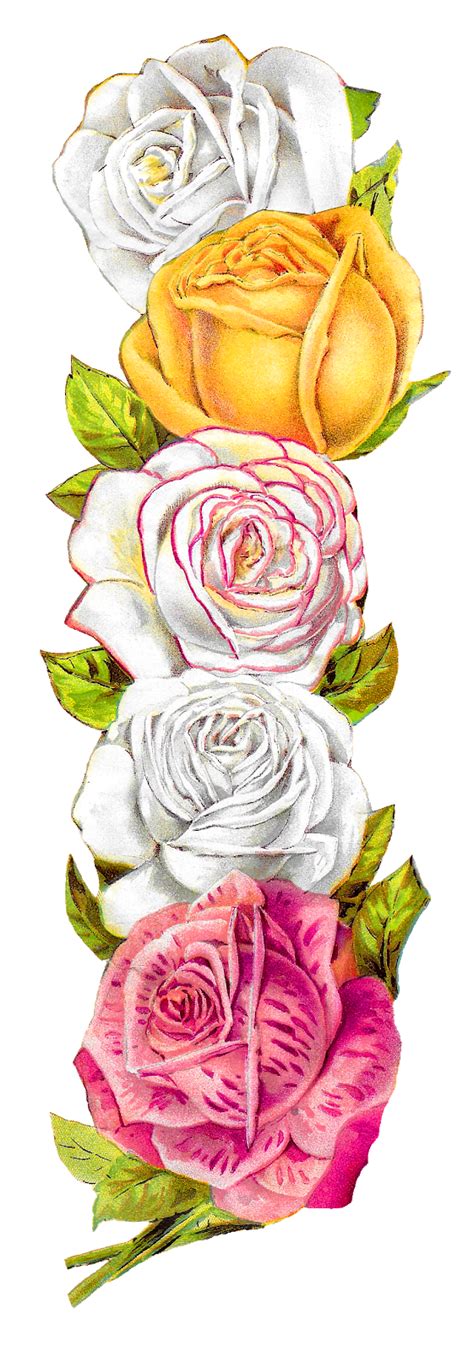 Antique Images: Romantic Vintage Rose Shabby Chic Wedding Floral Borders Digital Downloads