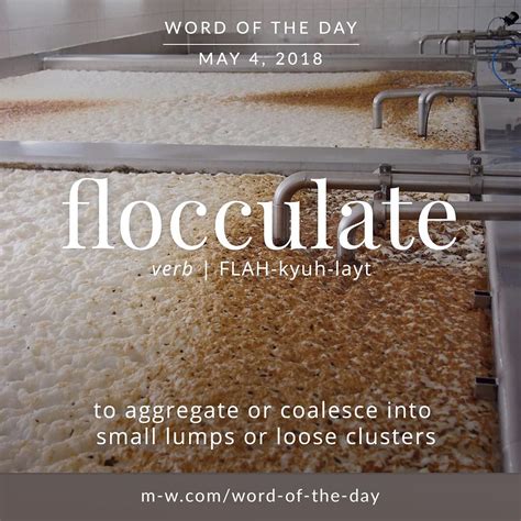 ‘flocculate Is The Wordoftheday Language Merriamwebster