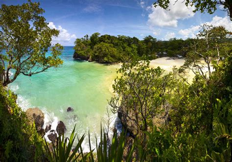 Best Things To Do In Port Antonio Jamaica