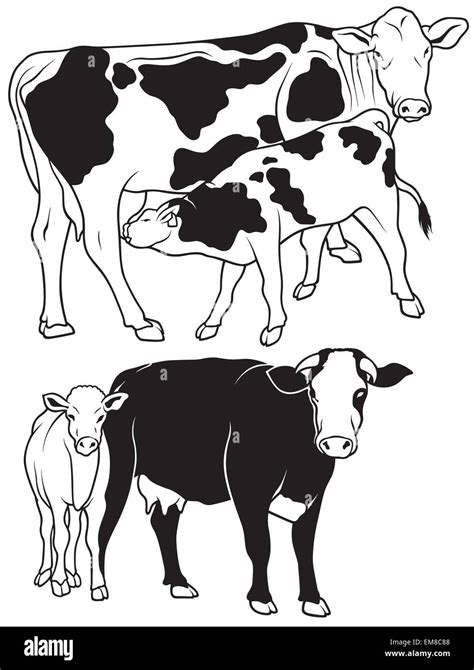Cow Cut Out Stock Vector Images Alamy