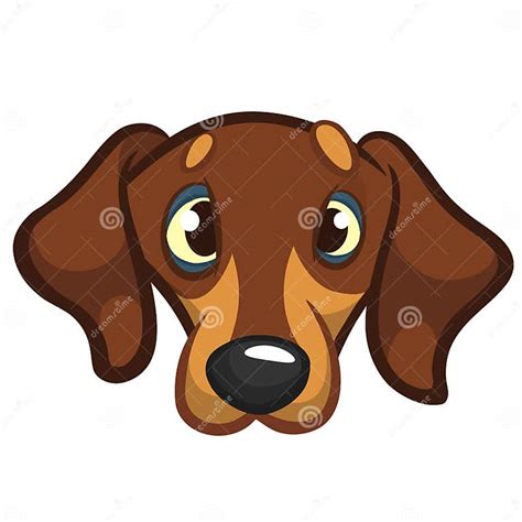 Cartoon Vector Illustration Of Cute Purebred Dachshund Dog Dog Head