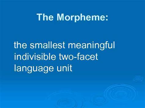 The theory of grammatical classes of words. Lecture 2 English Lexical Units Their Characteristics