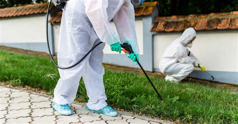 The variance depends on the size of the treatment area. How Much Does Pest Control Cost? | Today I'm Home