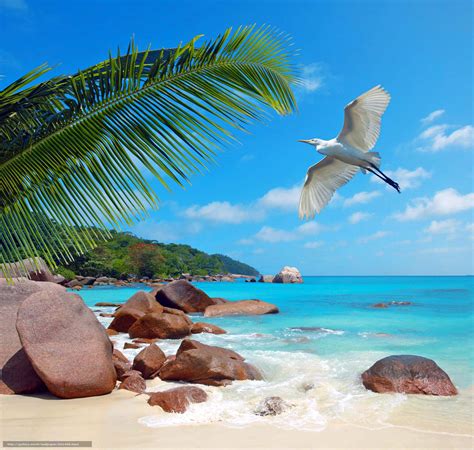 Download Paradise Unveiled: The Stunning Beauty of Seychelles Beach