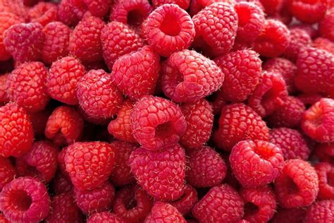 Raspberries Nutrition Facts Health Benefits Side Effects