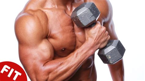 Best Muscle Building Exercises Bodybuilding Adventure