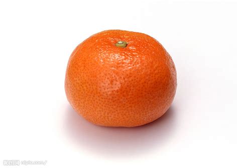 The site owner hides the web page description. 橘子摄影图__水果_生物世界_摄影图库_昵图网nipic.com