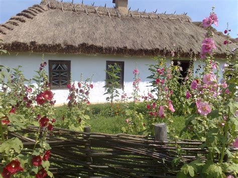 Ми запропонуємо тільки спеціальні умови по оптовим закупівель товарів. Так з року в рік, на протязі віків, Вони в квіту лишаються ...