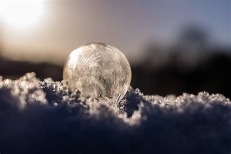 Free Images Snow Cold Winter Light Sunlight Frost Ice Frozen