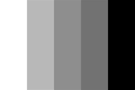 Black and white palettes with color ideas for decoration your house, wedding, hair or even nails. White To Black 1 Color Palette