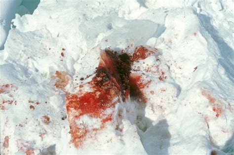 Das sind doppelt so viele wie im vergangenen jahr. Leben, Sterben und Lügen… | abenteuer leben