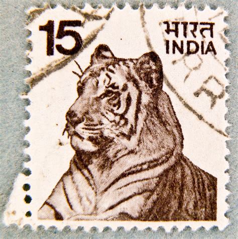 Rare India Postage Stamps 17 Images My Postage Stamps Collection