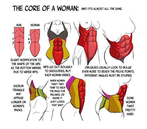 +18 daily muscle pics and videos♥. Male & Female abs | Anatomy reference, Anatomy for artists, How to draw abs