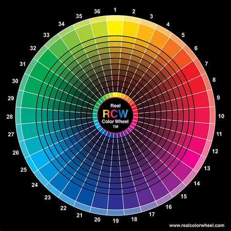 Real Color Wheel Digital Art By Don Jusko