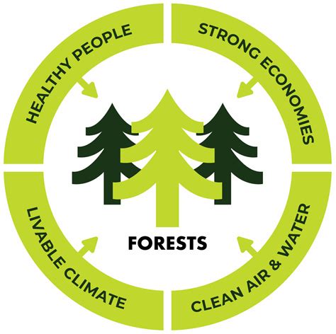 Stand Up For Forests Share How Forests Make You Healthier Highstead