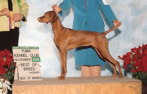 Fscore.uz da onlayn futbol, portugaliya chempionati. National Wins