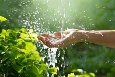 Is It Safe To Drink Rainwater What Makes Rain Drinkable