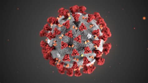 Coronavirus pandemic containment rate is 95%. Coronavirus in Deutschland: Infizierter hat sein Kind ...