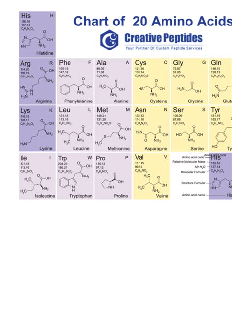 Amino Acids Chart