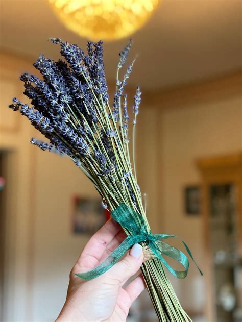 Dried Lavender Bunches | Etsy
