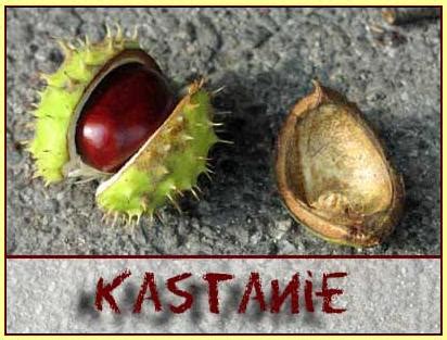 Aber schon am nächsten tag sieht sie etwas verschrumpelt und matt aus. Lernplatz: Januar 2013