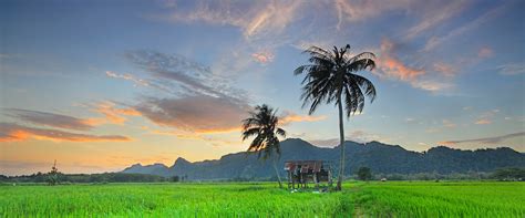 When a holiday occurs on saturday or sunday, that holiday is sh. Perlis Public Holidays - PublicHolidays.com.my