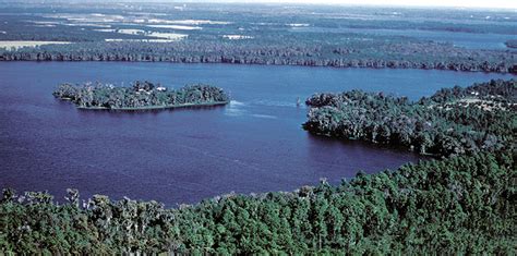 Walt disney world, bay lake, florida, united states BREAKING NEWS: Florida Man Facing Trespassing Charges For ...