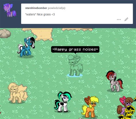 коды в пони таун