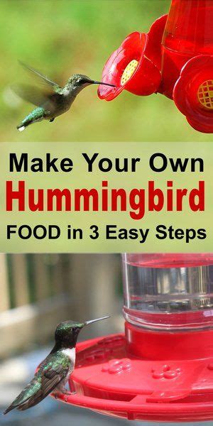 Make Homemade Hummingbird Nectar Fasies